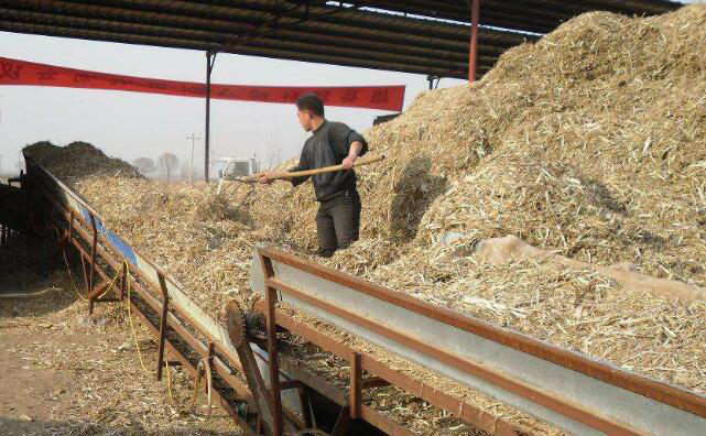 秸稈顆粒機生產線粉碎階段 秸稈顆粒機生產線粉碎階段
