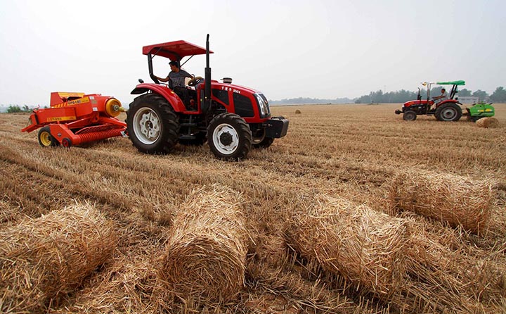 秸稈綜合利用 秸稈綜合利用