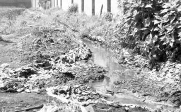 傳統有機肥生產過程中產生臭氣廢水 傳統有機肥生產過程中產生臭氣廢水