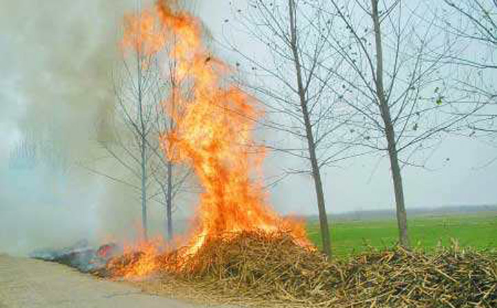 國家近年來禁止秸稈焚燒 國家近年來禁止秸稈焚燒