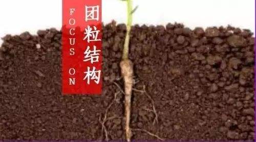 土壤團粒結構 土壤團粒結構