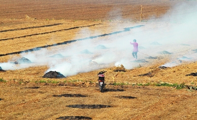 秸稈焚燒 秸稈焚燒