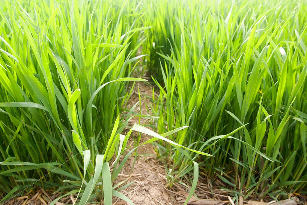 我國原材料豐富 我國原材料豐富