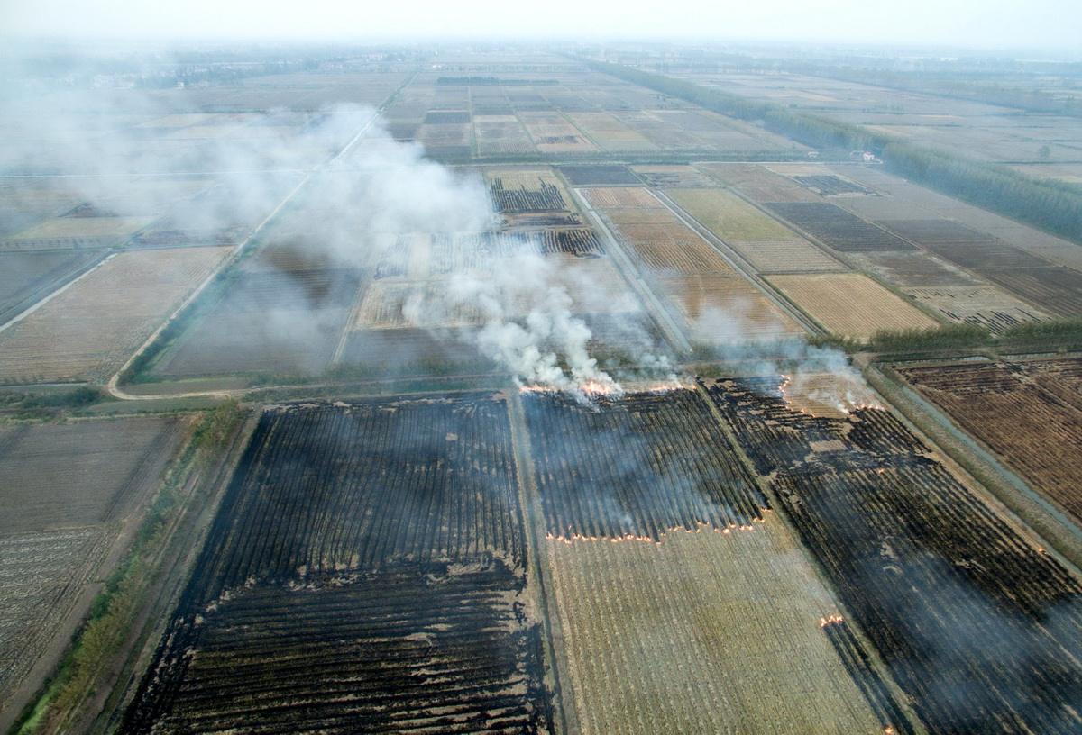 秸稈被大面積焚燒 秸稈被大面積焚燒