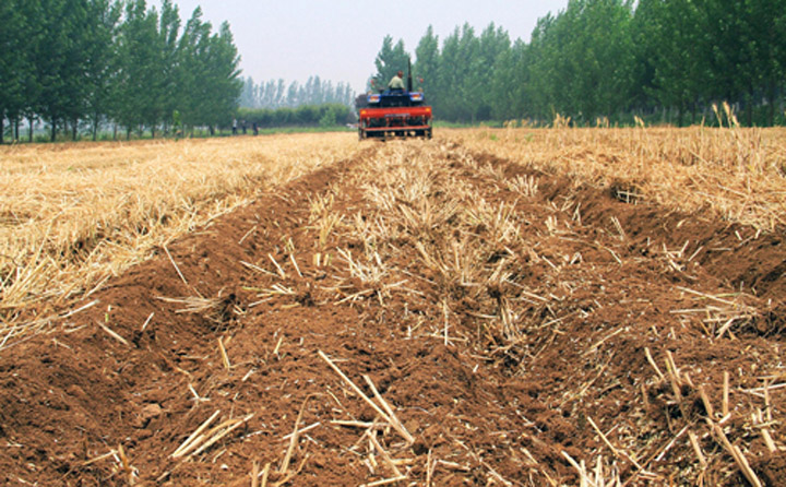 秸稈還田 秸稈還田