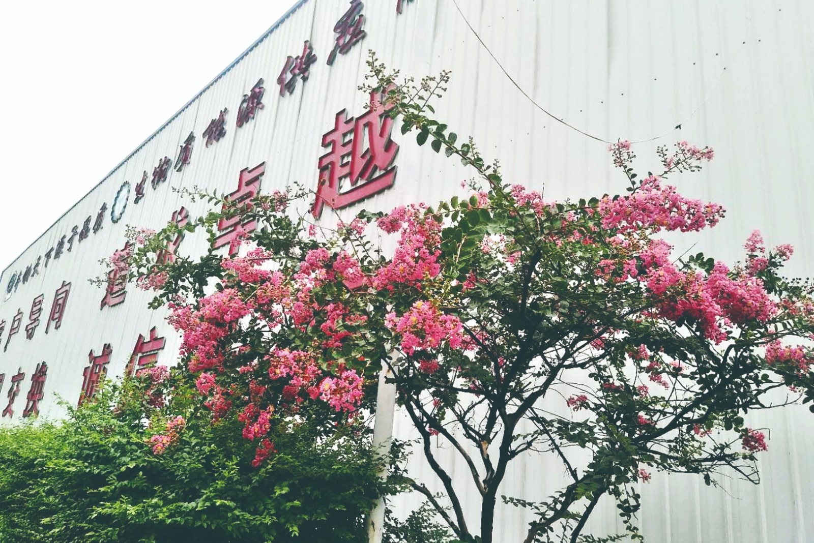 金格瑞廠家 金格瑞廠家