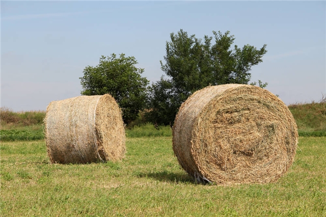 我國生物質(zhì)資源豐富 我國生物質(zhì)資源豐富
