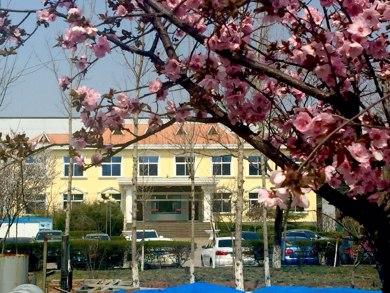 顆粒機生產廠家 顆粒機生產廠家