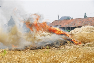 秸稈焚燒屢禁不止引發安全隱患 秸稈焚燒屢禁不止引發安全隱患