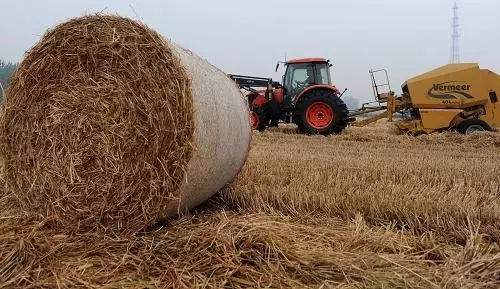 秸稈綜合利用形成產業(yè)鏈 秸稈綜合利用形成產業(yè)鏈