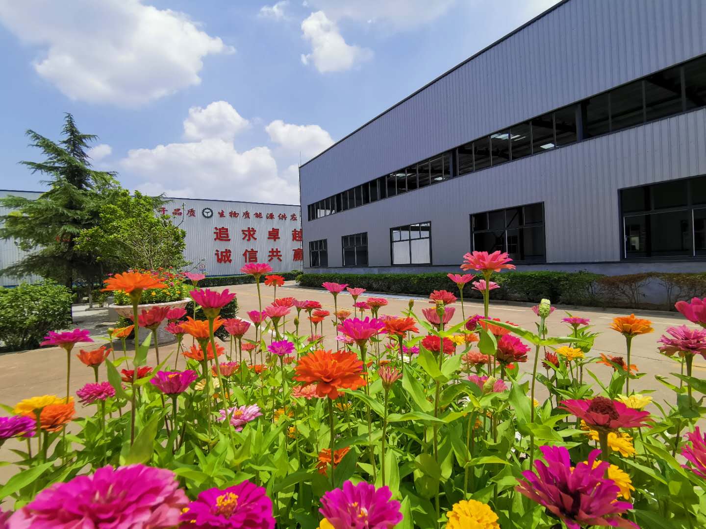 顆粒機(jī)生產(chǎn)廠家 顆粒機(jī)生產(chǎn)廠家