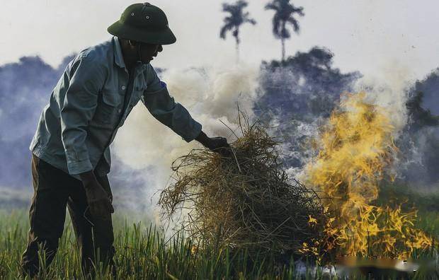 高溫天氣下農民依然焚燒稻桿 高溫天氣下農民依然焚燒稻桿