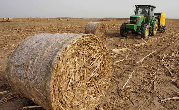 生物質(zhì)能源回收再利用 生物質(zhì)能源回收再利用