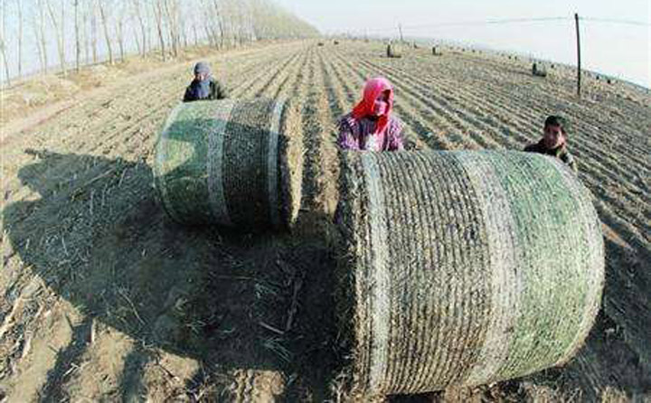我國生物質資源豐富 我國生物質資源豐富