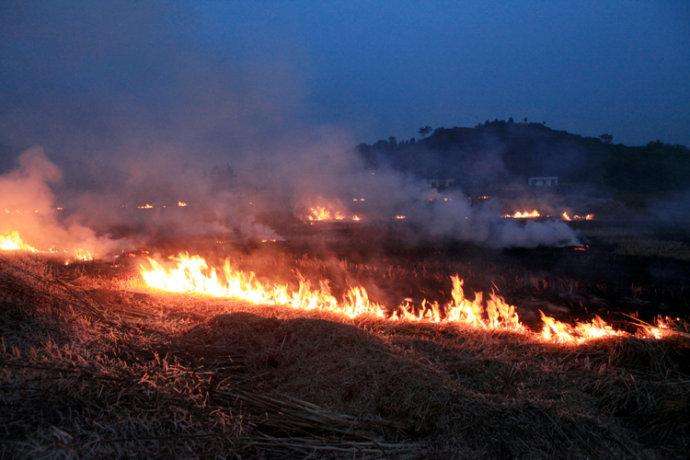 焚燒秸稈造成環(huán)境污染.jpg 焚燒秸稈造成環(huán)境污染.jpg