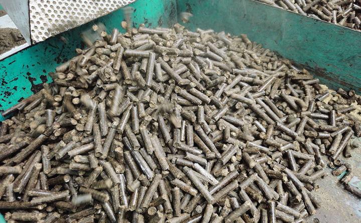 鋸末顆粒機生產的顆粒.jpg 鋸末顆粒機生產的顆粒.jpg