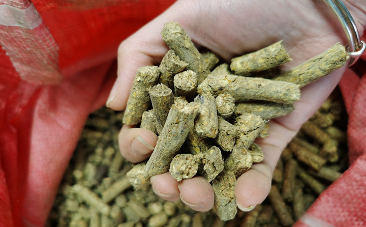 環(huán)保能源---生物質(zhì)顆粒.jpg 環(huán)保能源---生物質(zhì)顆粒.jpg