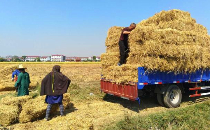 以農(nóng)作物秸稈及殼皮等原料生產(chǎn)電力等產(chǎn)品實行減按90%計入企業(yè)所得稅收入總額.jpg 以農(nóng)作物秸稈及殼皮等原料生產(chǎn)電力等產(chǎn)品實行減按90%計入企業(yè)所得稅收入總額.jpg