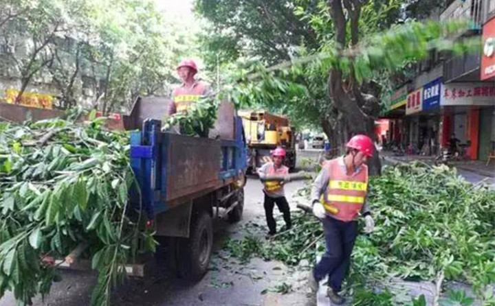 園林綠化廢棄物再利用,南京棲霞年處理量超3萬噸.jpg 園林綠化廢棄物再利用,南京棲霞年處理量超3萬噸.jpg
