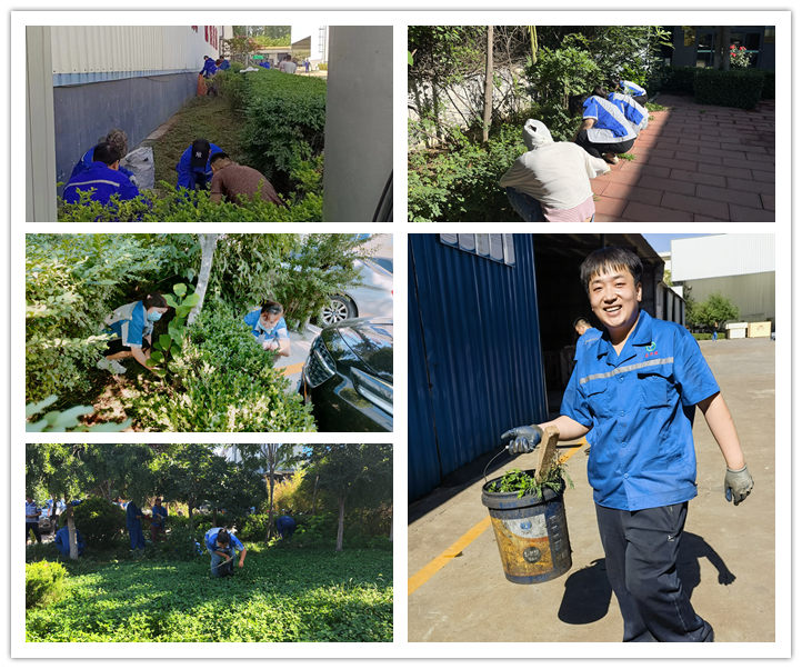 大家清掃、拾撿綠化帶垃圾,清理路邊縫隙死角內(nèi)的煙頭和雜物.jpg 大家清掃、拾撿綠化帶垃圾,清理路邊縫隙死角內(nèi)的煙頭和雜物.jpg