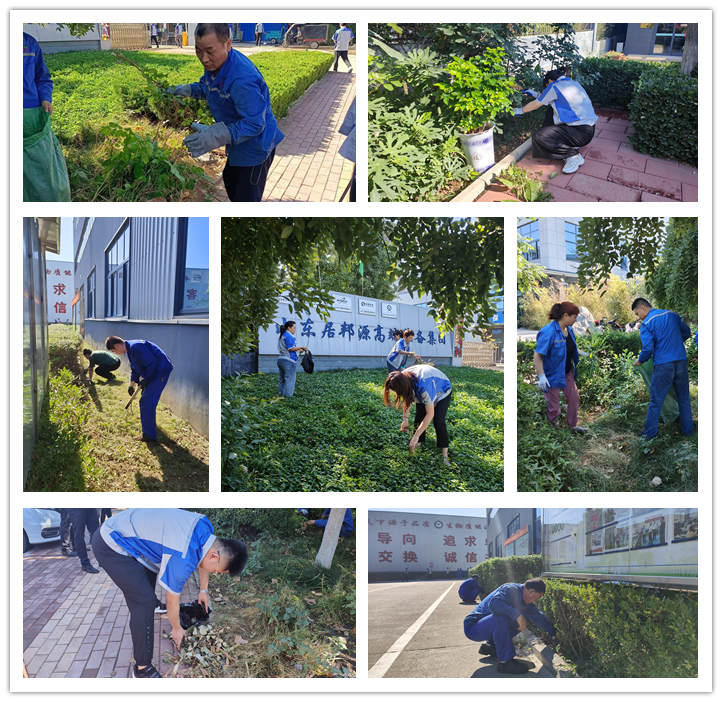大家清掃、拾撿綠化帶垃圾,清理路邊縫隙死角內(nèi)的煙頭和雜物.jpg 大家清掃、拾撿綠化帶垃圾,清理路邊縫隙死角內(nèi)的煙頭和雜物.jpg