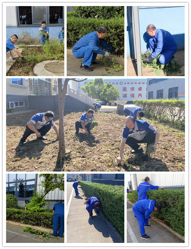 大家清掃、拾撿綠化帶垃圾,清理路邊縫隙死角內(nèi)的煙頭和雜物.jpg 大家清掃、拾撿綠化帶垃圾,清理路邊縫隙死角內(nèi)的煙頭和雜物.jpg