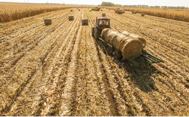 燃料化利用.jpg 燃料化利用.jpg