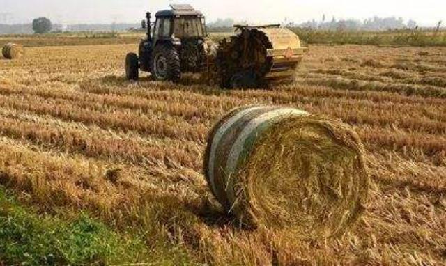 江西省吉安市永新縣臺(tái)嶺加強(qiáng)秸稈綜合利用助力可持續(xù)發(fā)展.jpg 江西省吉安市永新縣臺(tái)嶺加強(qiáng)秸稈綜合利用助力可持續(xù)發(fā)展.jpg