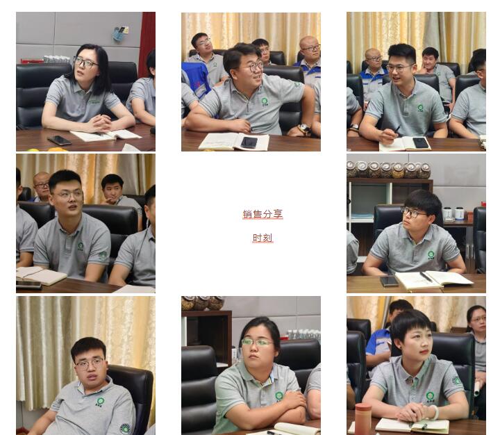 銷售精英們結(jié)合自己特點(diǎn)進(jìn)行工作匯報(bào)。.jpg 銷售精英們結(jié)合自己特點(diǎn)進(jìn)行工作匯報(bào)。.jpg