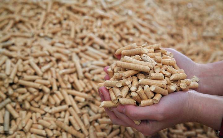 生物質顆粒燃料.JPG 生物質顆粒燃料.JPG